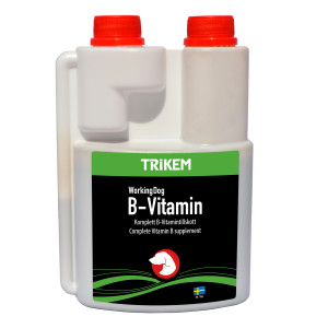 W D B-Vitamin 500Ml