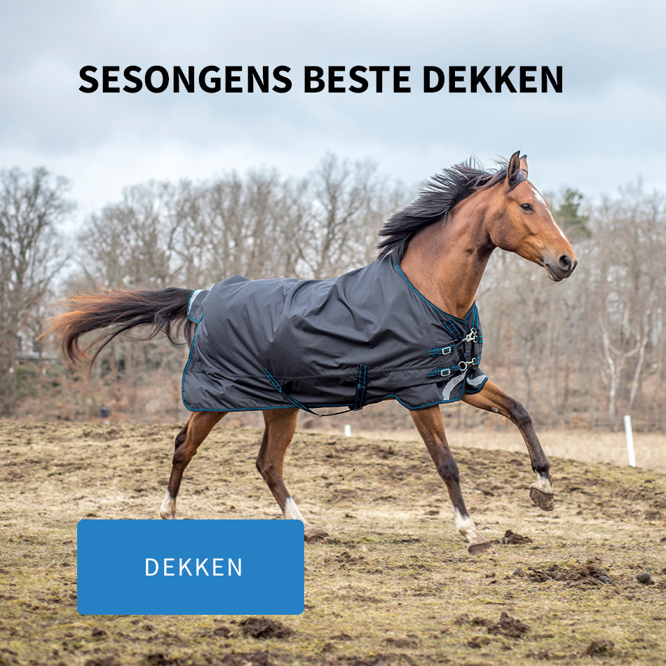 Alt for hest og rytter - Börjes