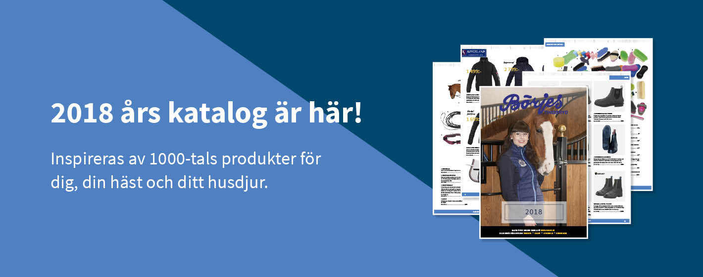 Katalog 2018