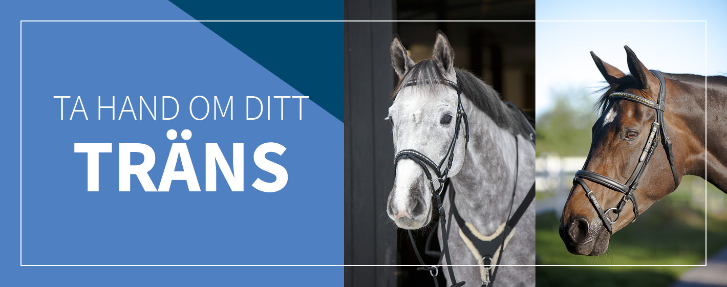Ta hand om ditt träns