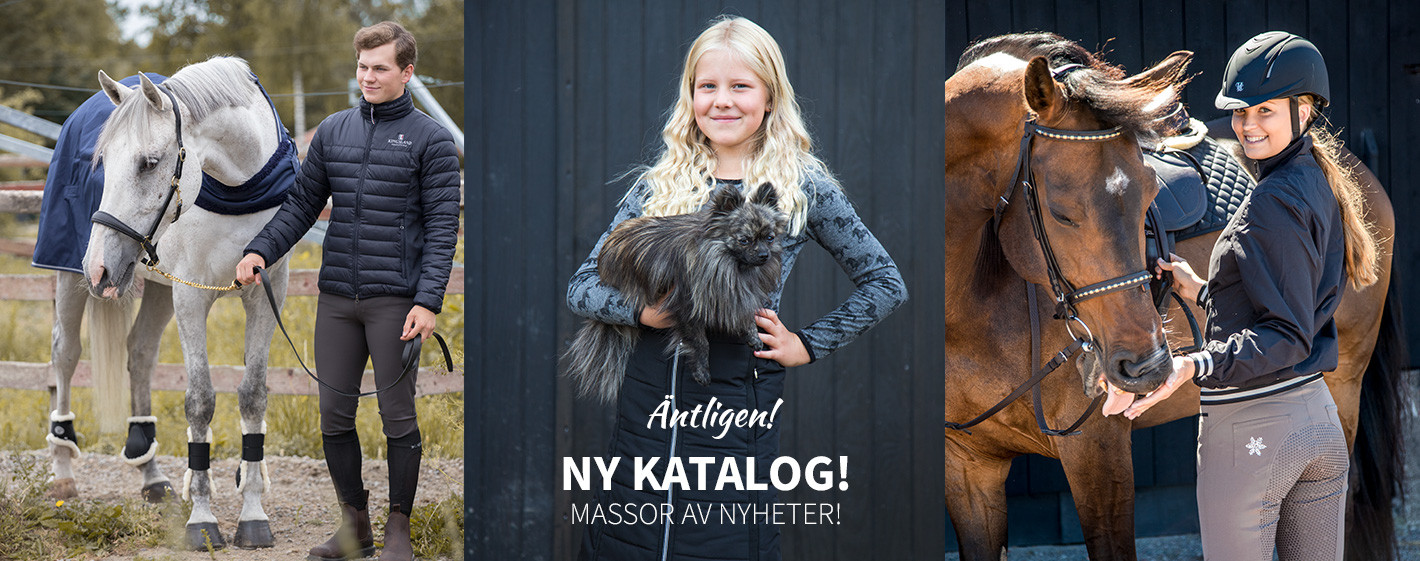Bläddra online i senaste katalogen